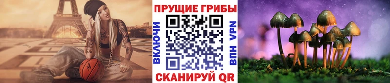 Псилоцибиновые грибы GOLDEN TEACHER Купить где Вилючинск